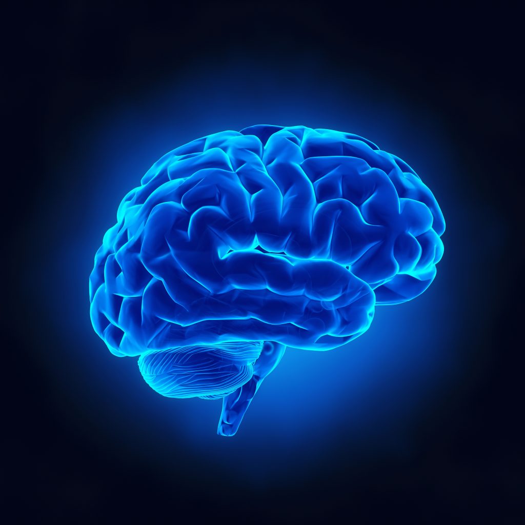 Picture of a brain